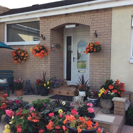 Lowefield B&B 斯特灵 外观 照片