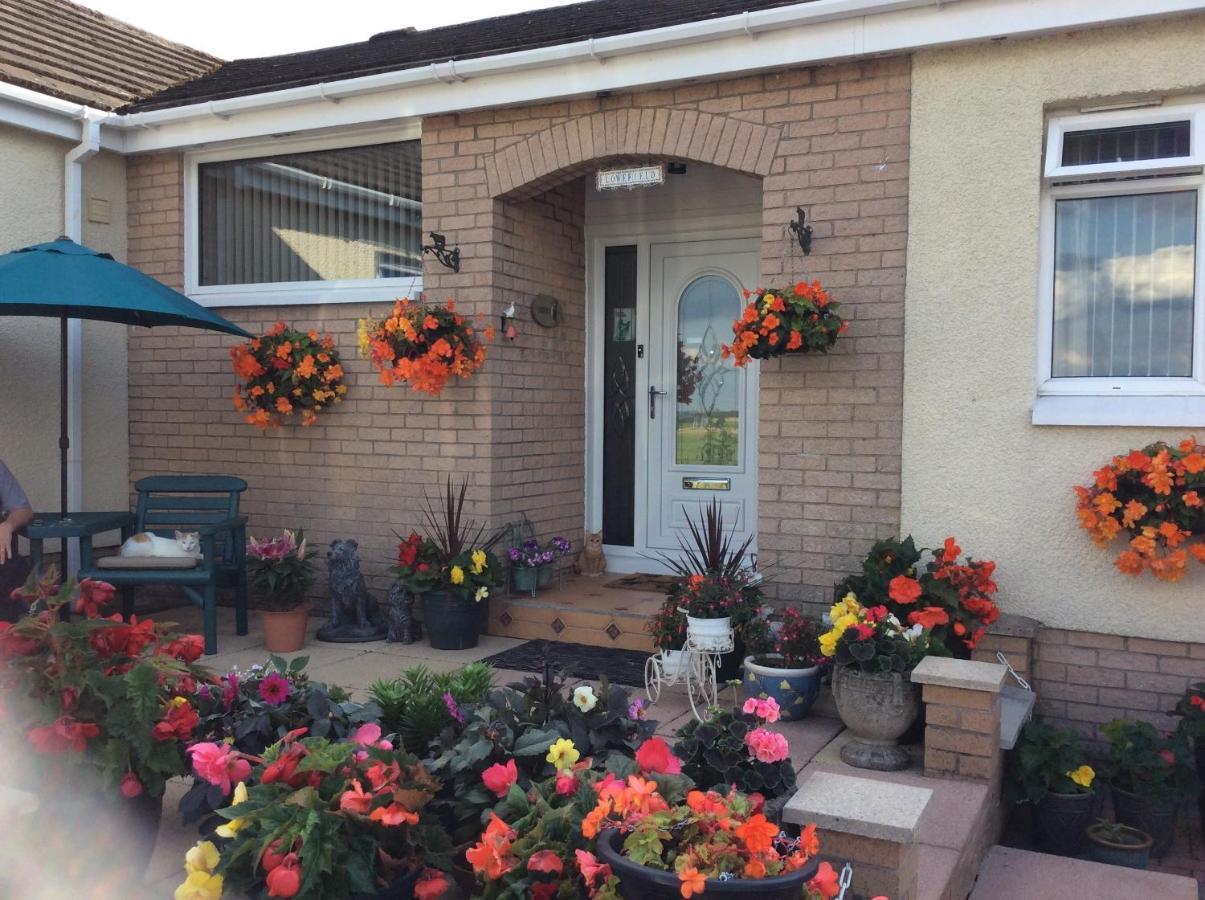 Lowefield B&B 斯特灵 外观 照片